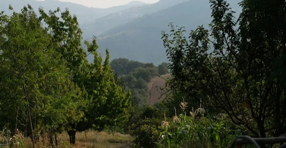 Turkish mountain ecological retreat